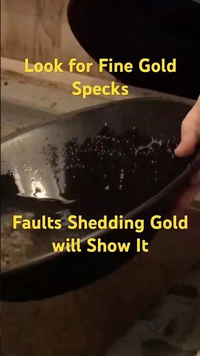 Fine gold specks reveal active fault zones shedding gold into nearby washes and sediments #goldfault