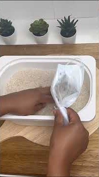 Rice Weevils Disappear! How to Repel Weevils Naturally With This Simple Sachet!