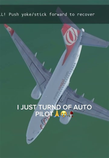 WTH is infinite flight doing 😭🥀🙏￼