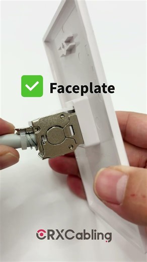 CRXCabling Multi-Entry Keystone Jack for Flexible On-Site Installation