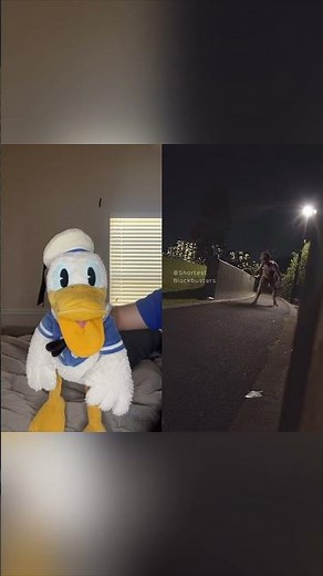 Collab With ‪@ShortestBlockbusters‬ Donald Ducc Can’t Be Out Alone