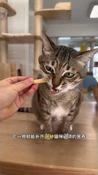 Keeping cats is a bit shoe-consuming...#The daily life of Da Mi and Xiao Mi