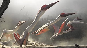 How a prehistoric airborne predator became the nightmare of its era