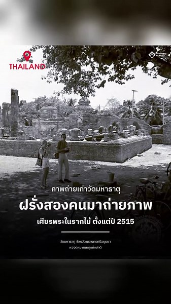 Historic Wat Mahathat: Buddha Head at Ayutthaya