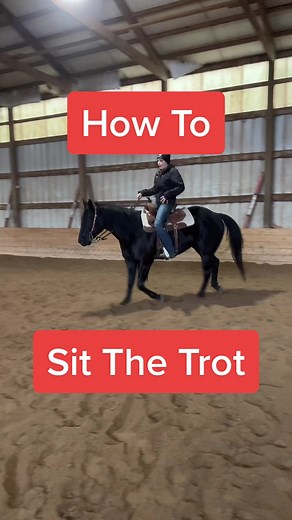 How To Sit The Trot