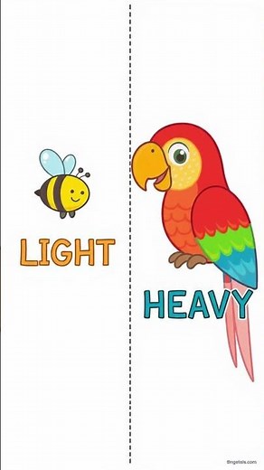 Can You Lift It? Heavy vs Light! #kidslearningfun