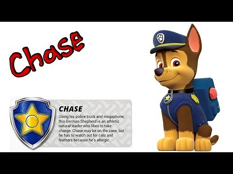 Cómo dibujar paso a paso a CHASE, de La Patrulla Canina (PAW Patrol)