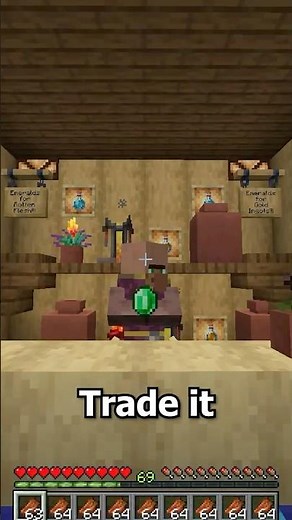 Why You Shouldn't Throw Away Rotten Flesh! (Villager Trade) #minecraft