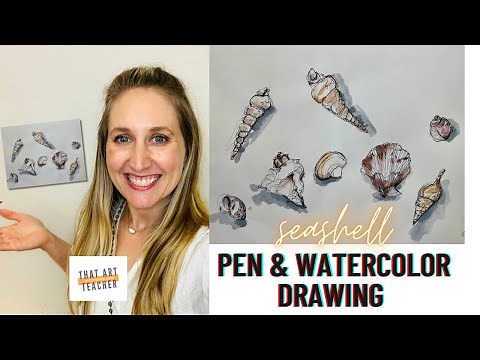 Seashell Drawing Tutorial | Pen and Watercolor Drawing