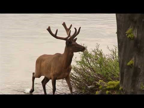 Explore Channel promo