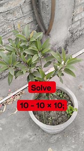 Solve it Mat Test Solution | Learn And Solve