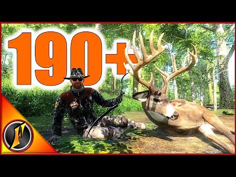 Our Best Whitetail Buck in Nearly 5 Years in theHunter Classic!