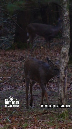 Doe KILL-ATHON at Legends Ranch | Keith Warren