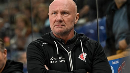 TV4-experten förklarar hockeyorden: ”Riktigt elakt – då blir det kul”
