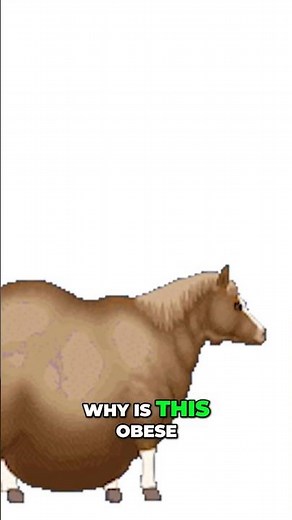 FAT HORSE GIF 💀