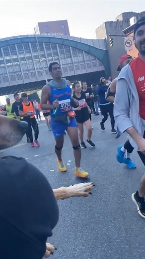 A dog at the New York City Marathon lent a paw to the runners. I would take a paw over a cup of water any day! 🥹 #reels #nycmarathon #marathon #running #runners #dogs #doggo | In The Know Now