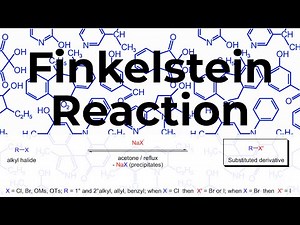 The Finkelstein Reaction Mechanism
