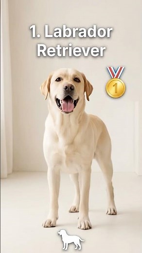 Most Popular Dog Breeds of 2025! What's your thought?