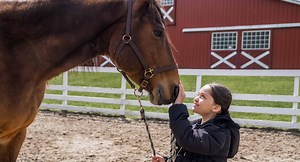 The Human-Animal Connection | Green Chimneys