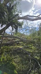 4.6K views | NV Energy on Reels | Facebook