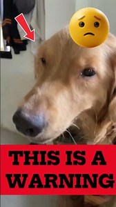 Your Dog Is Sick If You See THESE Signs #shorts