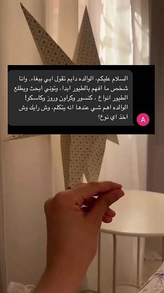 فيديوهات أنشأها بيسو ونيمو 🦜 (@bes.2022) باستخدام الصوت الأصلي - بيسو ونيمو 🦜