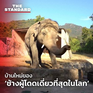 176K views · 4.9K reactions |...