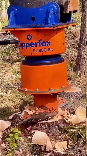 Efficient Stump Grinding: How Modern Machinery Transforms Forest Cleanup