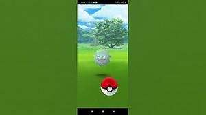 Koffing Shiny koffing koffingaming koffingpokemon pokemon pokemongo