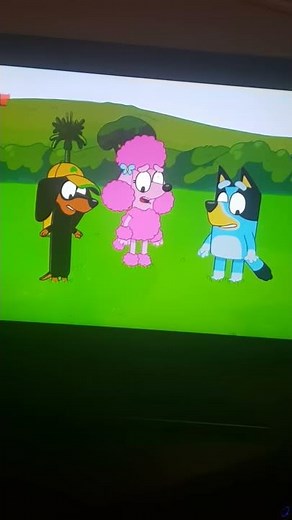 Good bye sun hello moon cbeebies bluey