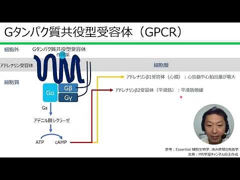 G protein-coupled receptors (GPCRs)