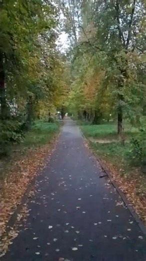 Осенняя перспектива - Autumn perspective