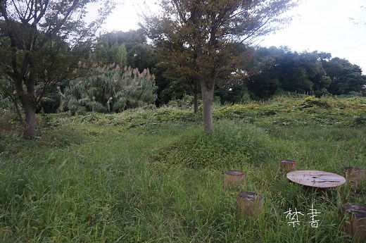 爆破解体された琵琶湖幽霊ホテルの跡地はいま