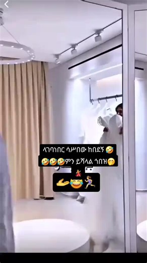 Explore the Magic of AI with Balli Bot Mogis