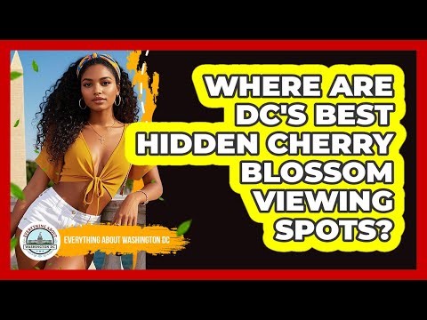 Where Are DC's Best Hidden Cherry Blossom Viewing Spots? - Everything About Washington DC
