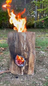 We’re always intrigued by the creative campfire techniques people come out with. What do you think of this one by GrillHunters 🤷🏽‍♂️🪵🔥 | Foodporn