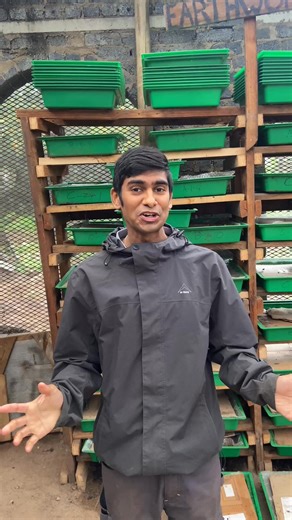 32K views · 590 reactions | Looking for a side-hustle that doesn't hustle you? Worm farming could be for you #Entrepreneurship | The Compost Kitchen | Facebook