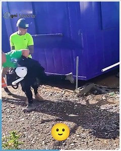 8.6K views · 20 reactions | Hilarious Mistakes & Unexpected Fails – Watch Now! 勞臘‍♀️ | Industrial engineering & design | Facebook