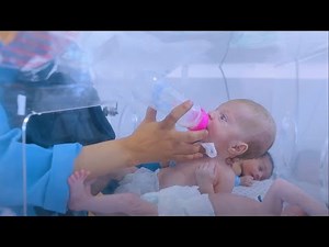 【ガザ人道危機 緊急募金】新生児を救出、命を守る支援を継続 /日本ユニセフ協会