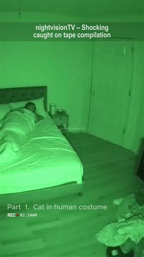 Surprising Night Vision Clips of Dogs and Cats