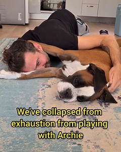 Does anyone have any tips about tiring out a 6 month old puppy, because Archie the amazing has got everlasting batteries! 😰 | Bobby from the bin