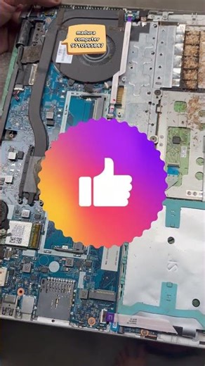 HP laptop ants inside laptop #computerrepair#shortsfeed #shorts #laptoprepair #technology #like