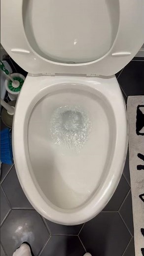 Improved Flush Of My 2019 Glacier Bay All In One Toilet