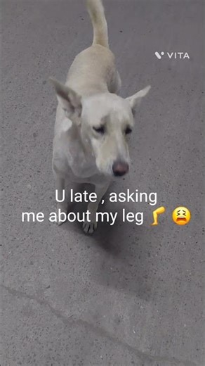 My Batoda is rock star 👩‍🎤 🌟 🤩 ✨️ 😍