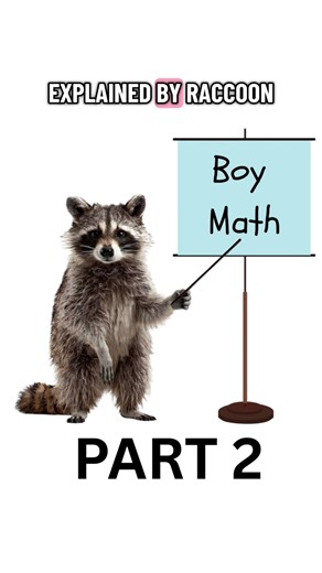 Understanding Boy Math Through Raccoon Humor