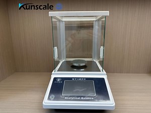 [Hot Item] Electronic Balance Experimental Grade Professional Lab Analytical Balance/Weighing Scale