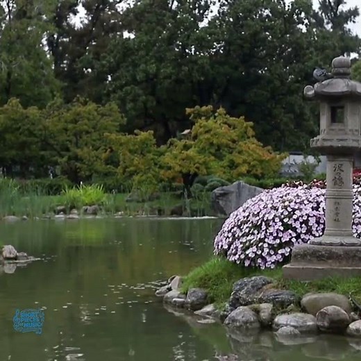 Orelsan - Soleil levant (feat. SDM)