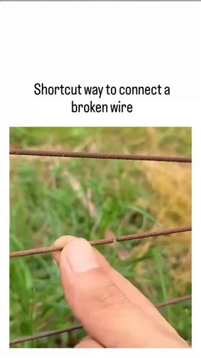 Science ! Interesting ! How it works on Instagram: "The post shares a 14-second video tutorial on a quick DIY fix for broken wire fences, using pliers to twist and secure the ends together in a grassy outdoor setting, responding to a user's request for video ideas. It has amassed over 2.3 million views, 1,195 likes, and 174 replies within hours, with users in Indonesian communities praising its simplicity for rural or garden maintenance. This twisting method serves as an effective temporary repa