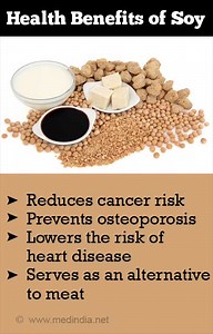 What is soy and why is it important? [2025] | QAQooking.wiki