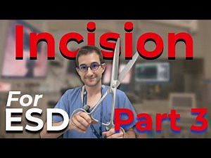 Incision for ESD part 3: How to train your incision ?